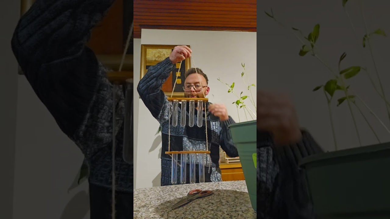 Take cuttings from your sweetpea seedlings 