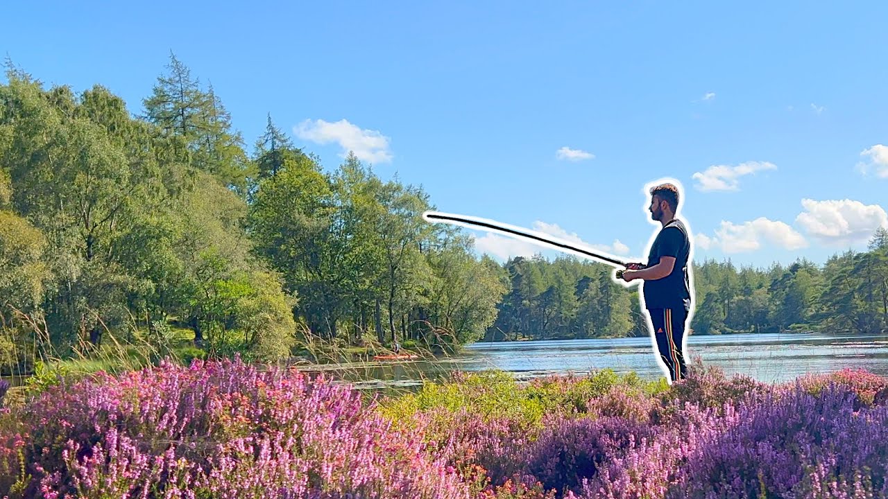 Fishing a SNAKE INFESTED Lake in the Forest 🐍⛰ (UP CLOSE!)
