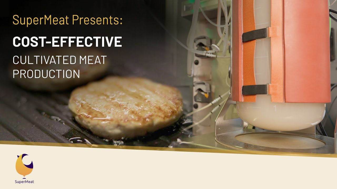 SuperMeat Presents: Cost-Effective Cultivated Meat Production