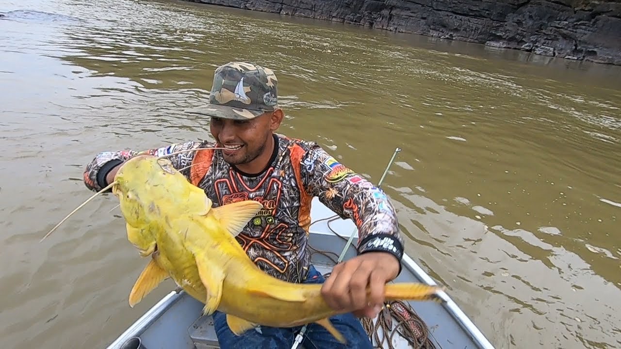 PESCA INOLVIDABLE, CAPTURA DE BAGRE AMARILLO (TORUNO)