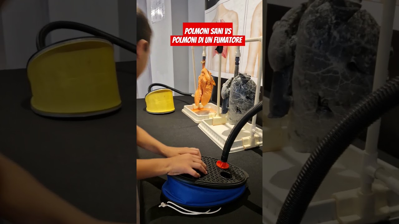 Polmoni sani vs polmoni di un fumatore🫨🫨🫨 #education #benessere #tumori