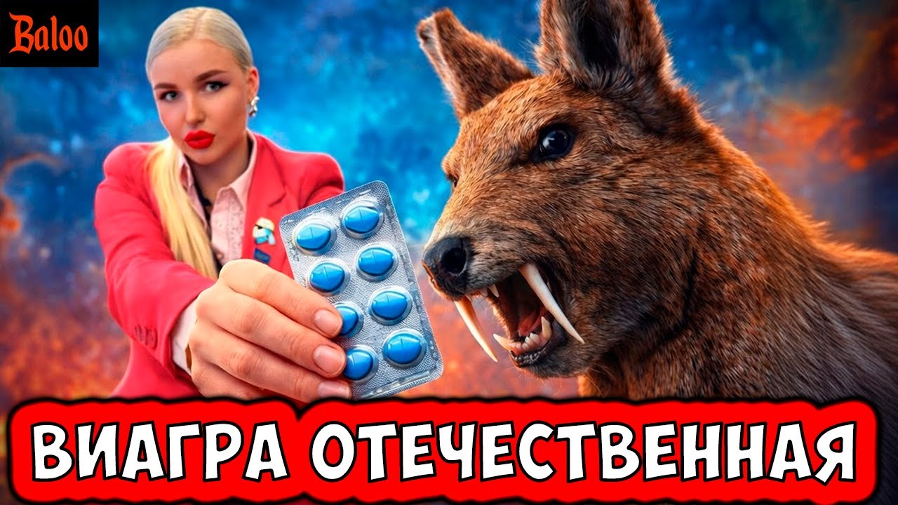 СОЛОВЬИНЫЙ ПОМЕТ№407/ ВИАГРА ОТЕЧЕСТВЕННАЯ; ЧЛЕН ИЗБИРКОМА ЛДПР; ДМИТРИЕВ ПЕРЕЖИВАЕТ, НО ЭТО ДРУГОЕ