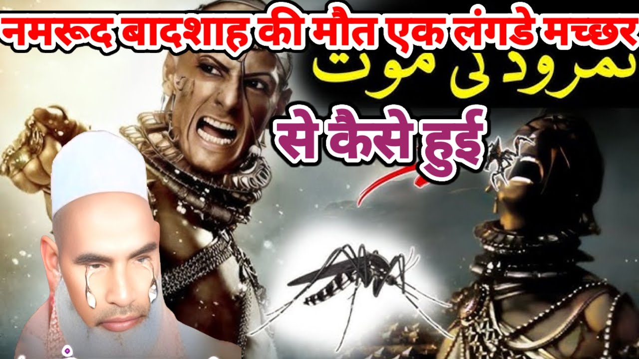 नमरूद बादशाह की मौत एक लंगडे मच्छर से कैसे हुई / Qari hanif multani / Kari Hanif multani ka bayan 