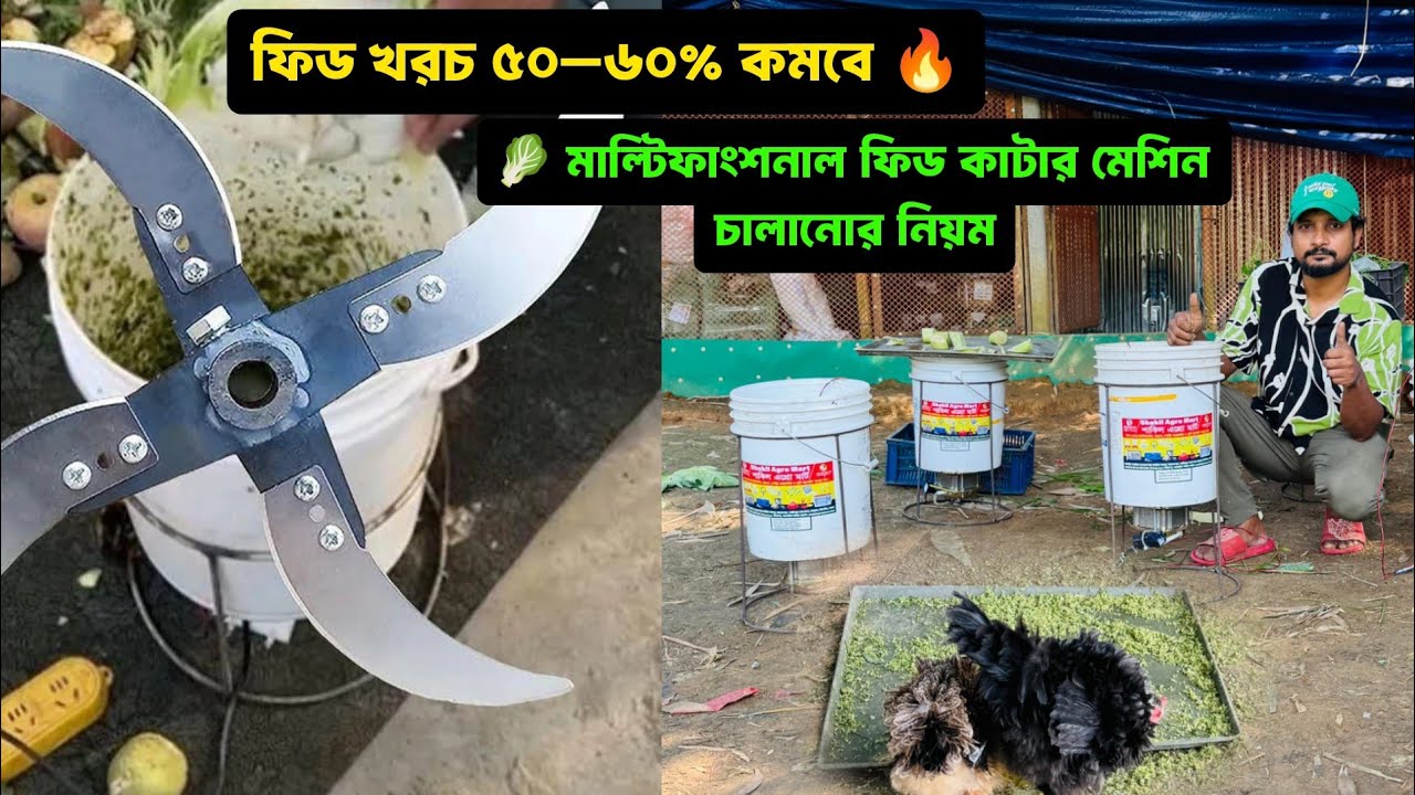 সবজি কাটার মেশিনে মুরগির খাবার খরচ কমে যাবে! অধিক লাভবান হবেন 🐔