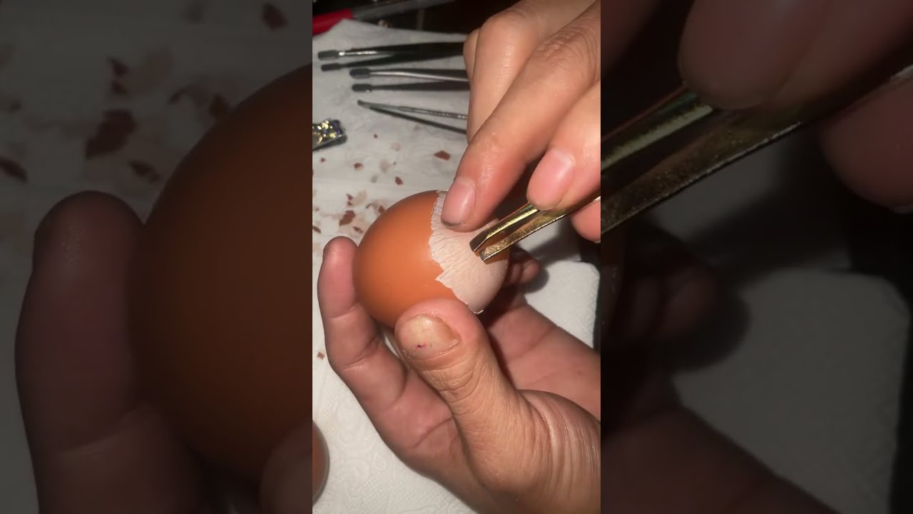 Raw egg peeling challenge : perfect Live