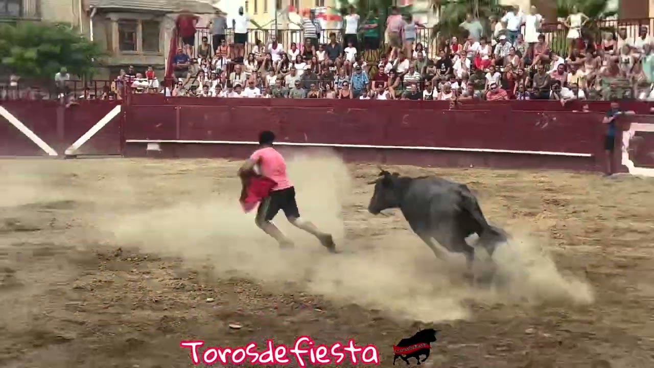 Arguedas tarde ganadería Iñiguez