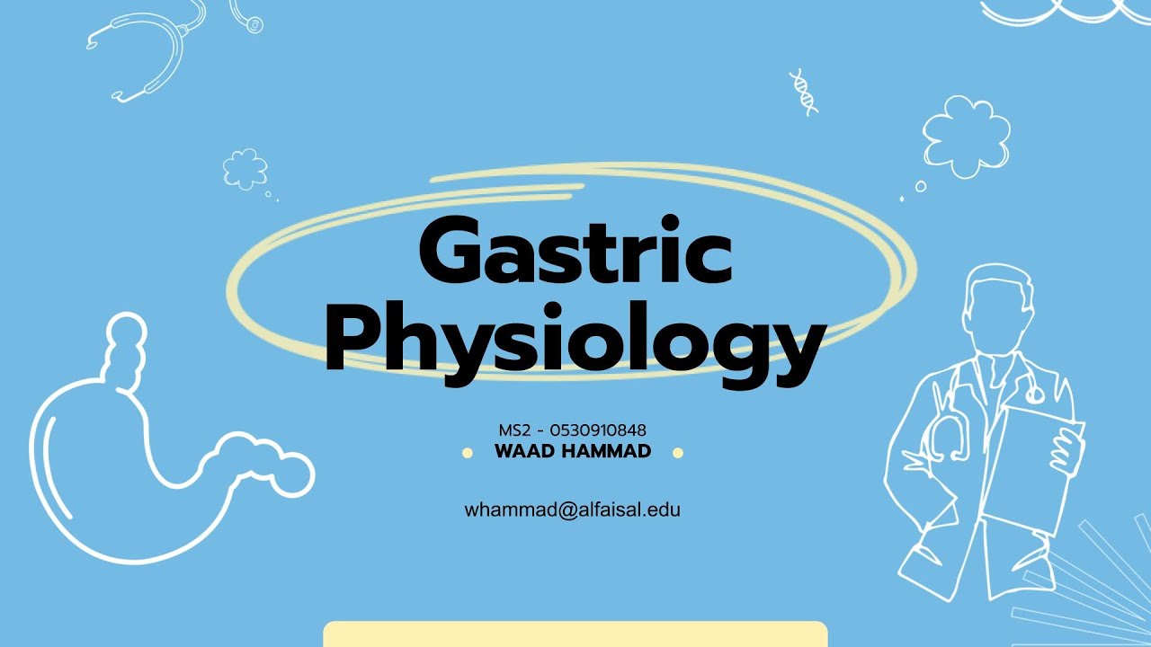 Gastric Physiology | Waad Hammad | GIT 113