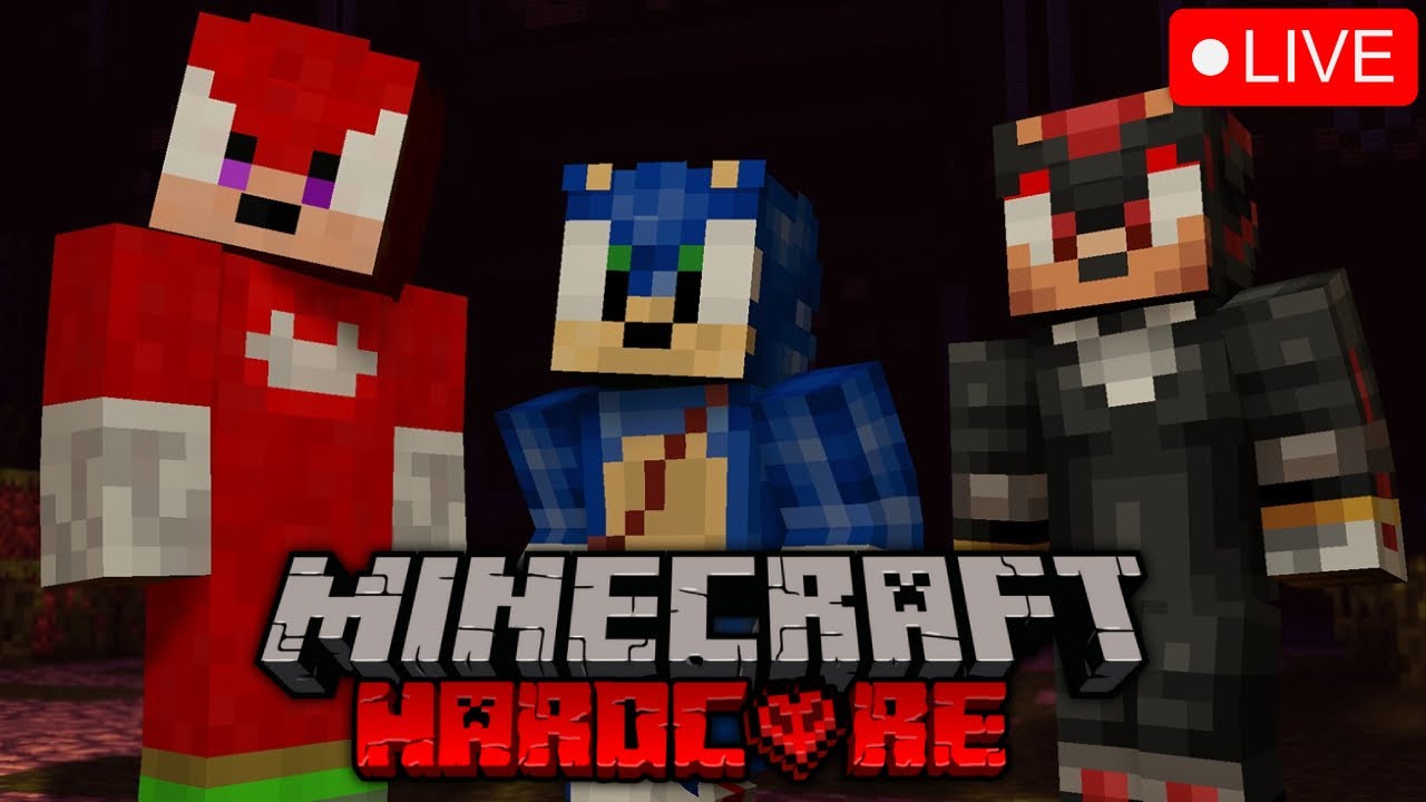 Movie Sonic, Movie Knuckles and Movie Shadow Play Minecraft Hardcore LIVE!!