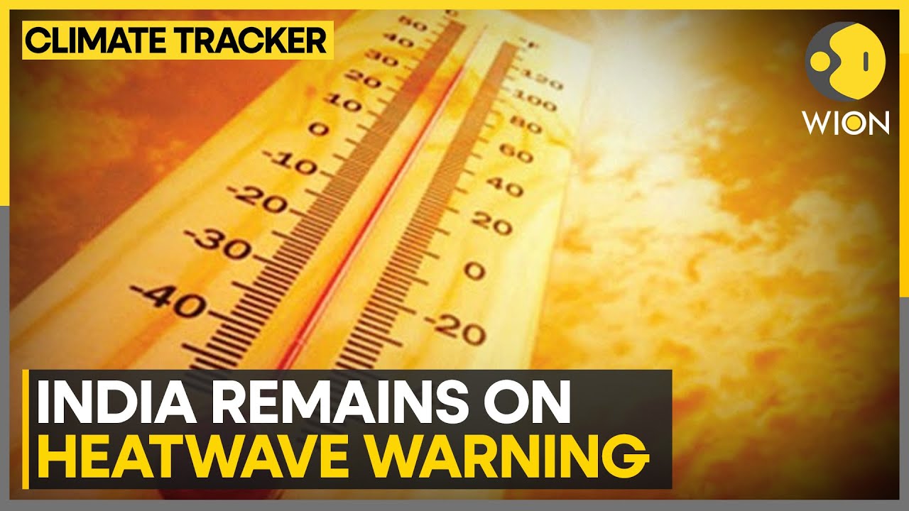 India Heatwave: Punjab, Haryana, Chandigarh and Delhi on heatwave alert | WION Climate Tracker