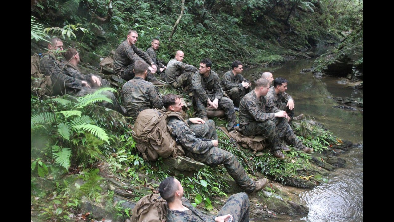 Jungle Warfare Training, Part 2 -- 'Worst terrain'
