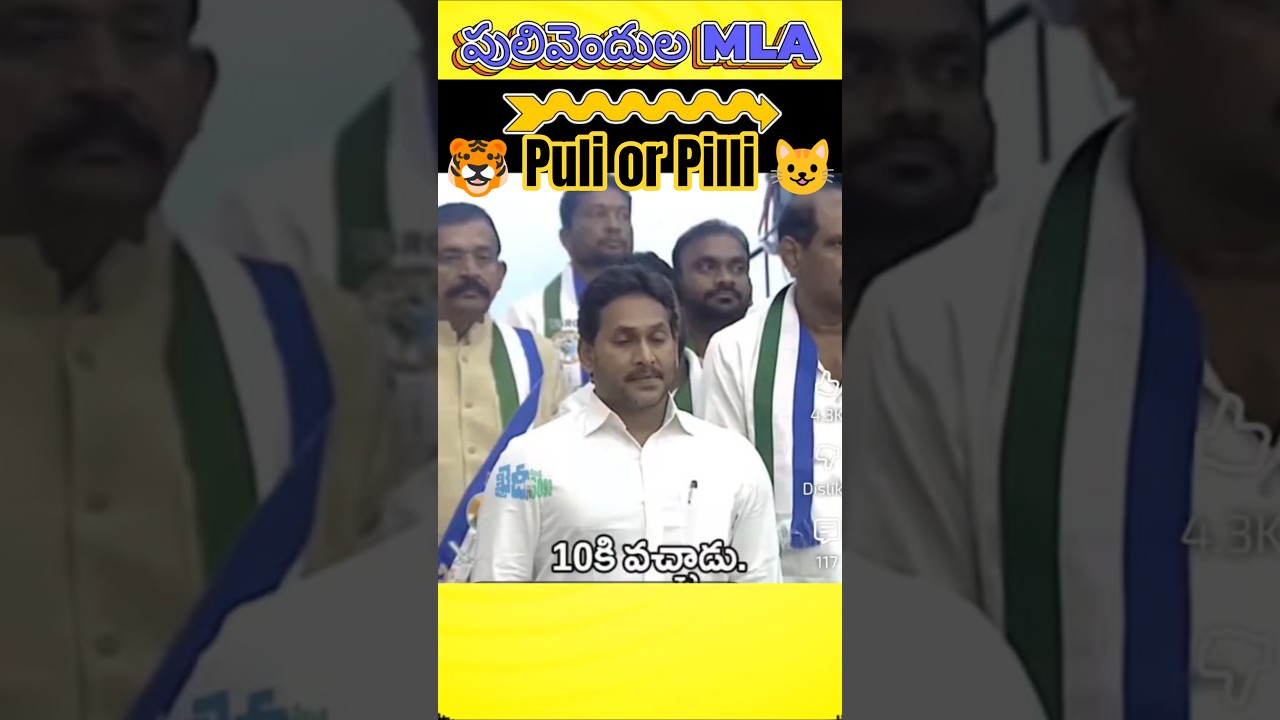 జగన్ & కో అసెంబ్లీకి హాజరు, 11 నిమిషాలలో పరారు #ysjagan #revanthreddy #tdp #cbn #naralokesh #YSRCP