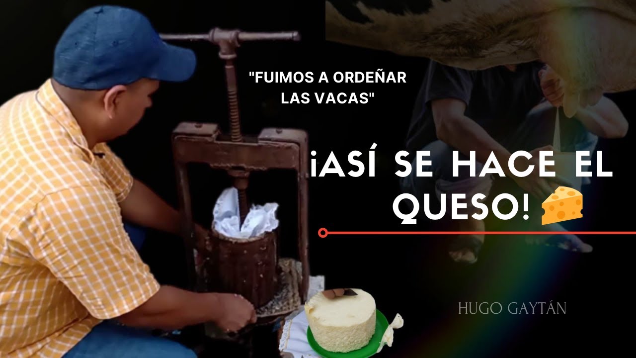 COMO HACER QUESO CASERO, TODO EL PROCEDIMIENTO