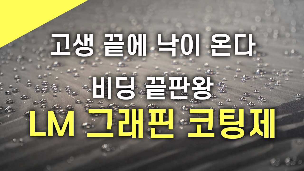 루미너스  그래핀 코팅제를 파헤쳐 봤습니다  (LM 그래핀 + 블랙 그래핀 심층 리뷰)