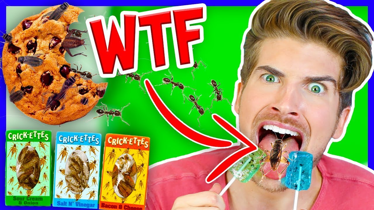 TASTING WEIRD INSECT SNACKS! | Taste Test