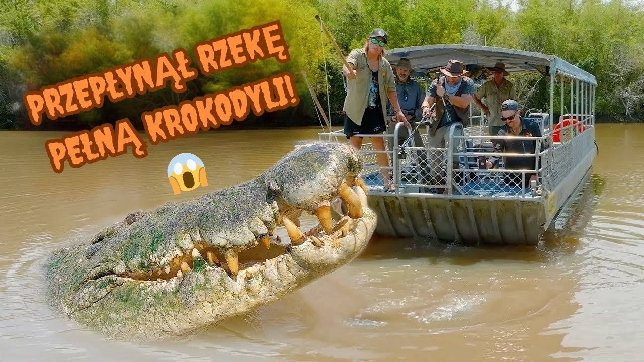 OGROMNY KROKODYL znaleziony w Australii! Czy człowiek zdoła go przepłynąć? | Brave Wilderness Polski