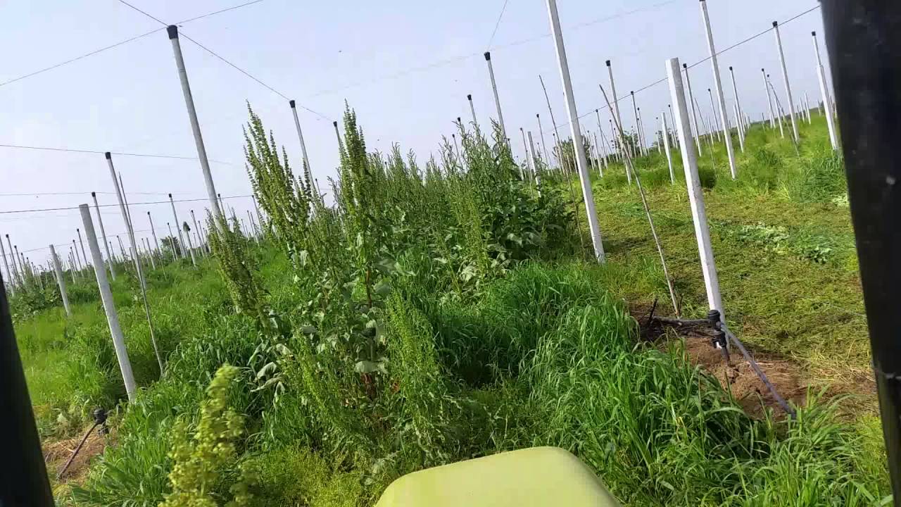Hurlimann prince 435 - Agrokem καταστροφέας