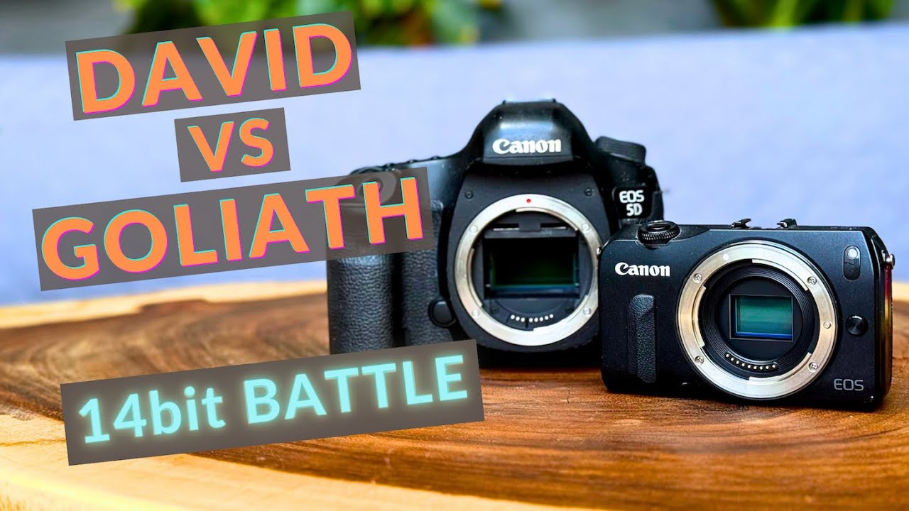 EOS M vs 5D Mark III Magic Lantern Crop Mood
