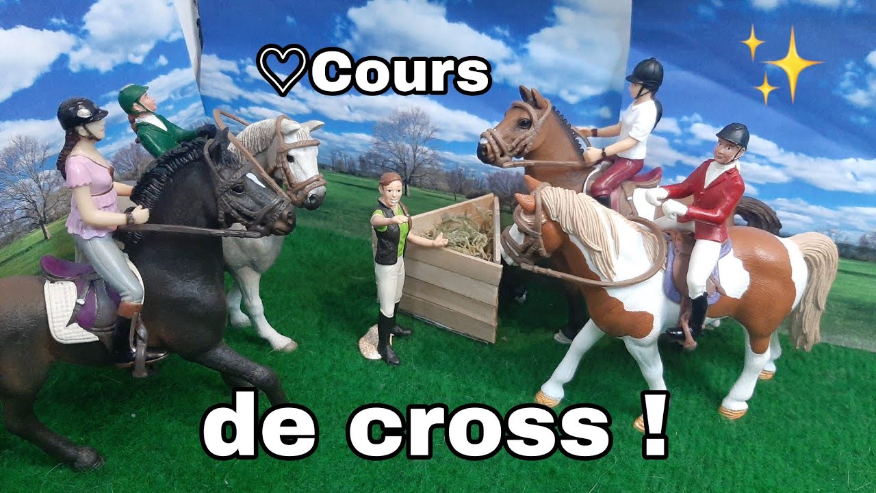 {COURS} Premier cross de l'année pour les galops 4 !🍀🙈 |vidéo schleich🐎
