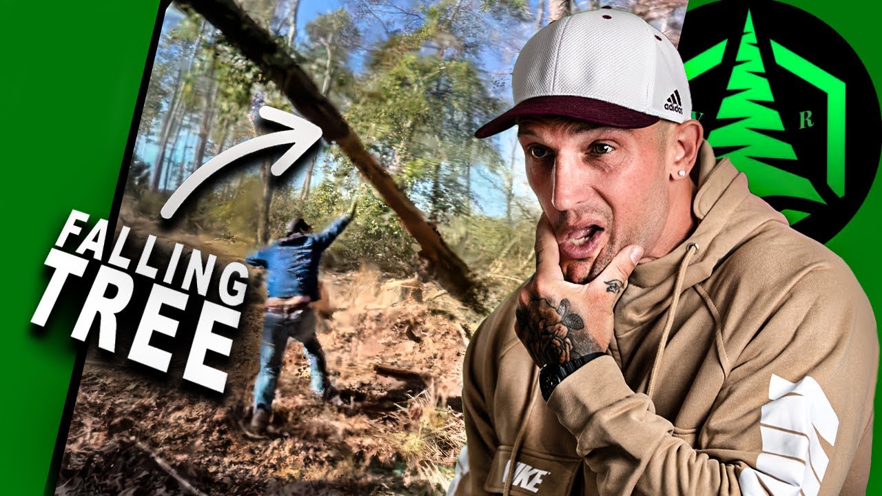 Tree Cutting FAILS - Expert Reacts