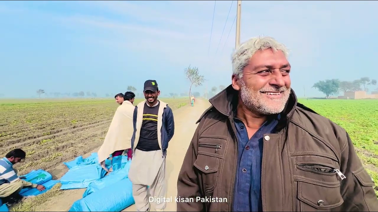 AALOO K KHREEDAR PAUNCH GAYE bardana lay ker 