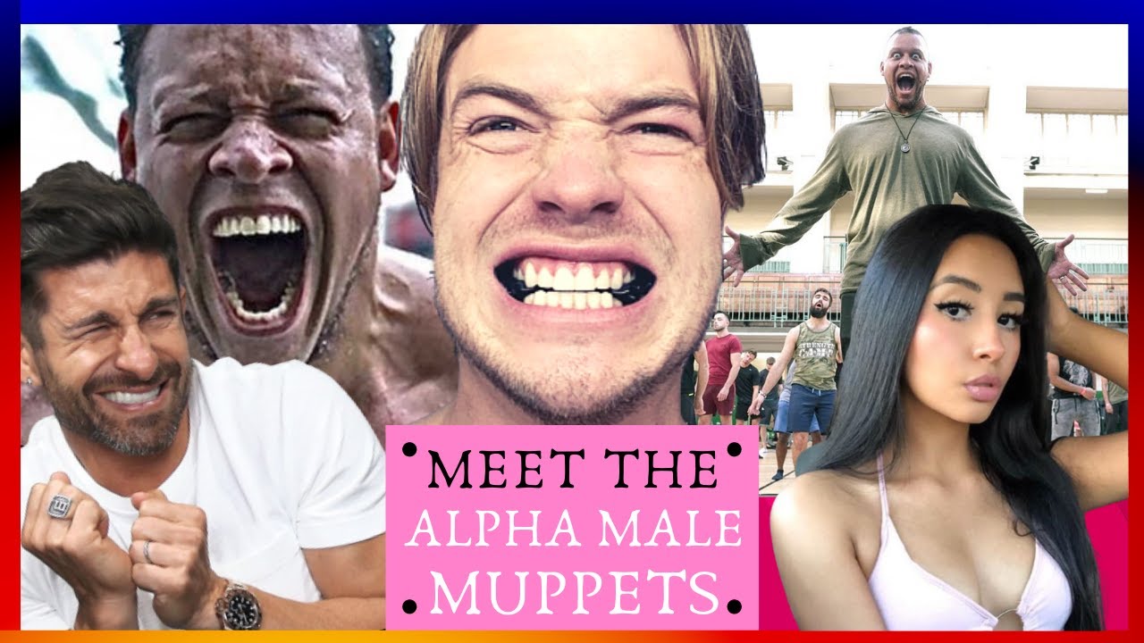 Welcome to the ALPHA MALE Muppet Show