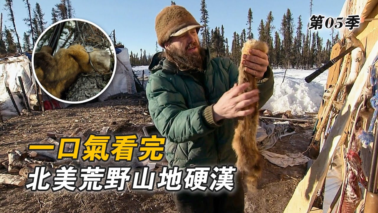 一口氣看完北美荒野山地硬漢：誘捕貂鼠開拓農場，狩獵野豬和白尾鹿，鍛造殺豬刀拓展畜牧事業！紀錄片