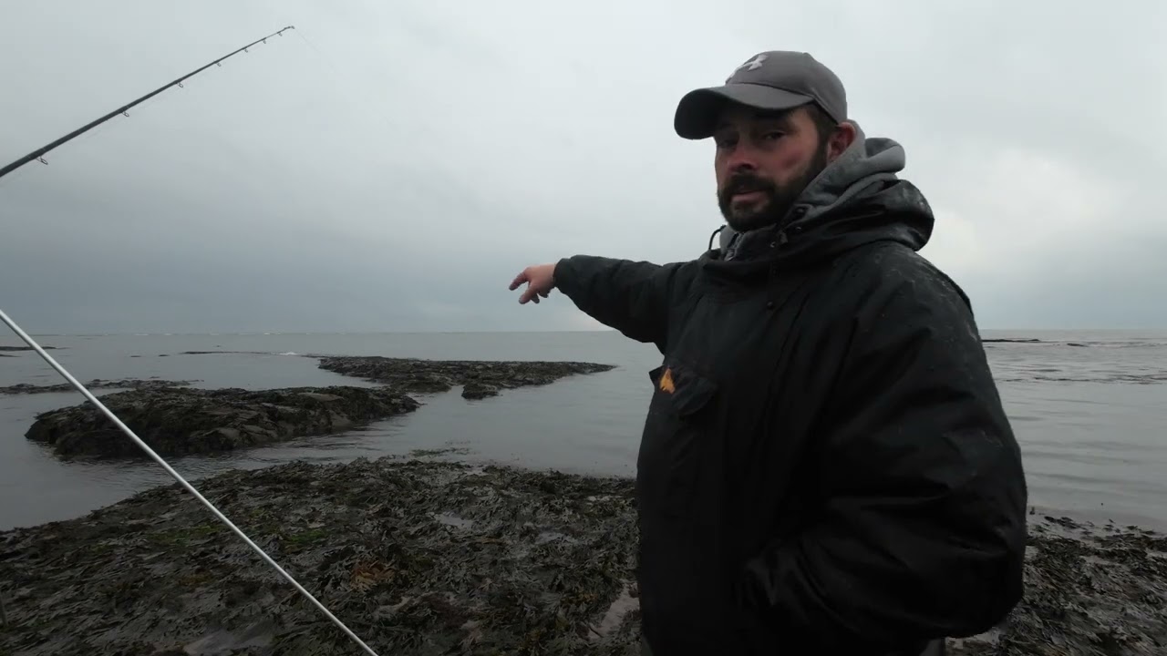 Chasing North East cod