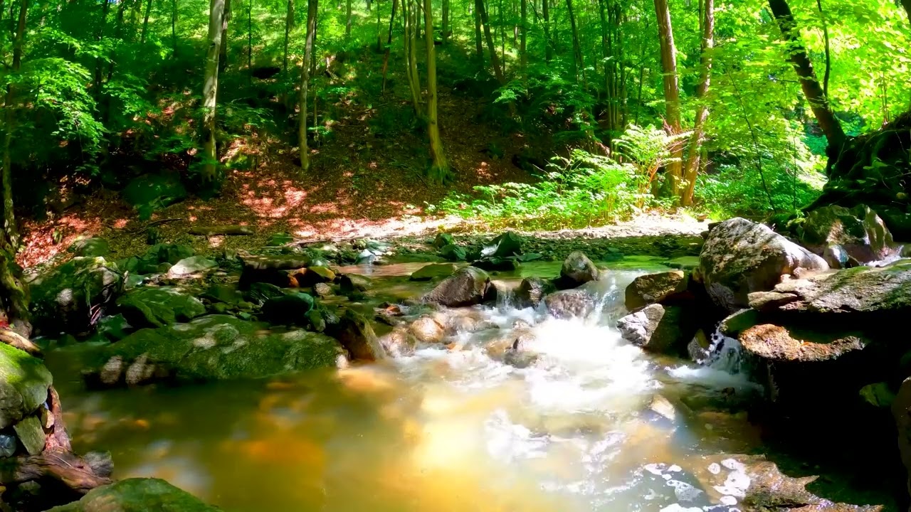 Calming Water Sounds: Relaxing Music for Peace and Tranquility