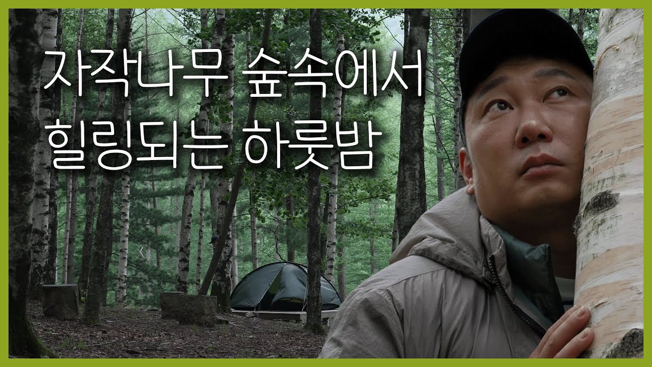 조용한 자작나무 숲에서 불어오는 바람을 만끽하며 하룻밤😊 | 자작나무 숲속에서 힐링 백패킹 다녀왔습니다🍃