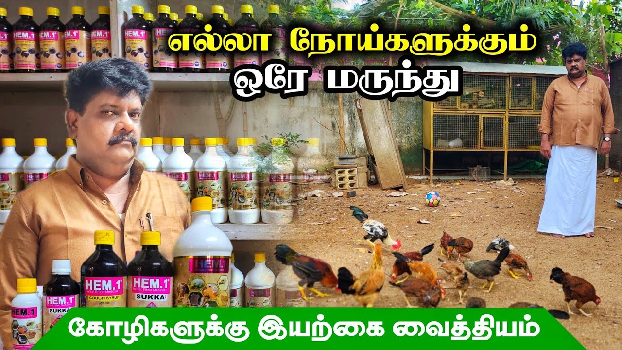 🐔இயற்கை முறையில் கோழி வளர்க்க வேண்டுமா? மூலிகை மருந்து உங்கள் வீடு தேடி...☘️