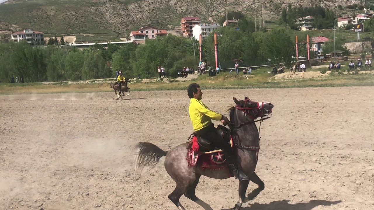 Ata sporu cirit
