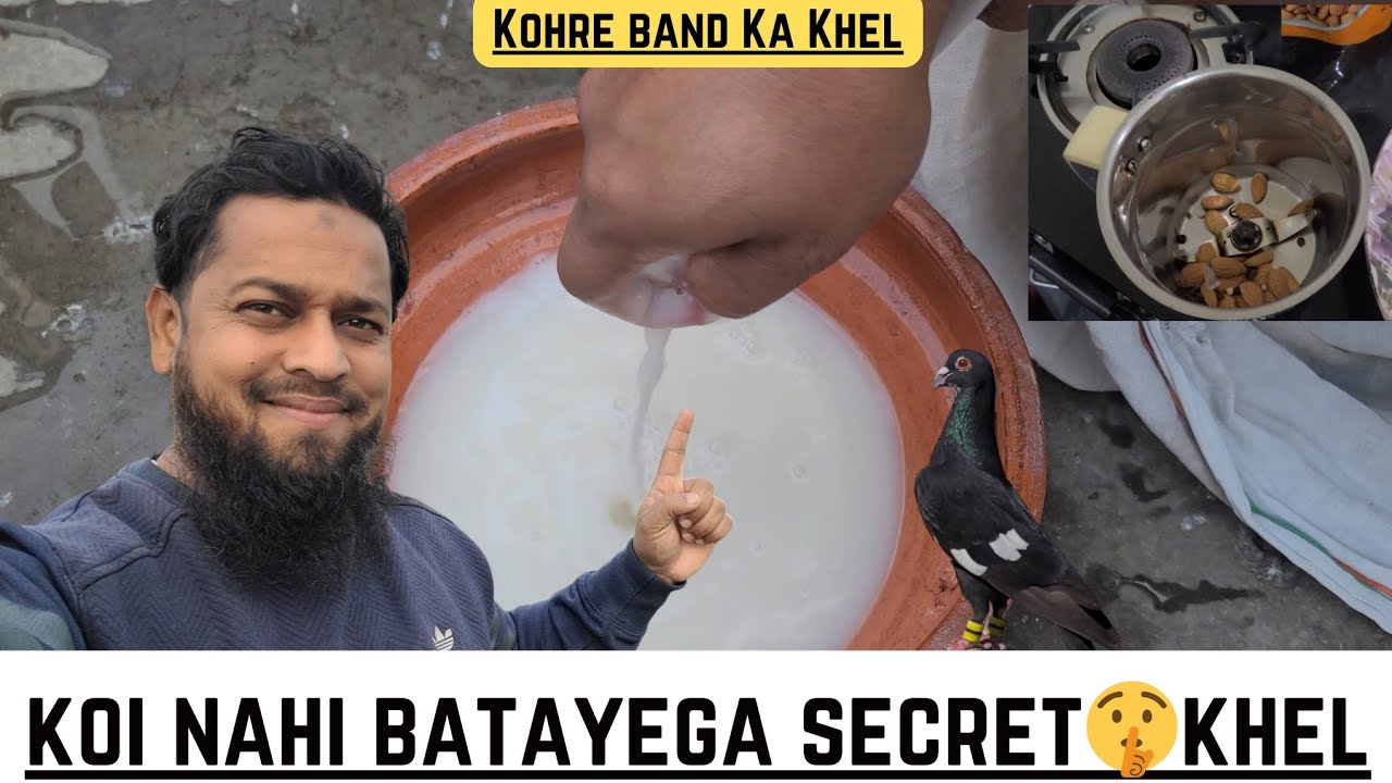 Sardi Ka Tufani Khel 🤫 ||Ye Khel Aaj Tak Kisi Ne Nahi Bataya Hoga 🔥||@pigeonscarefactory5328