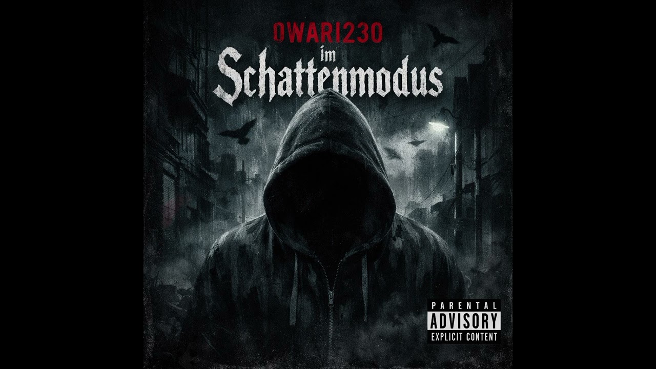 Owari230 Im Schattenmodus 