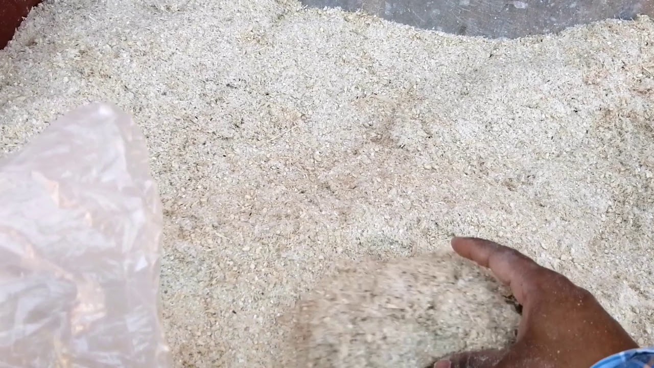 ALIMENTACI&Oacute;N DE CABRAS - DIETA BALANCEADA PARA CAPRINOS