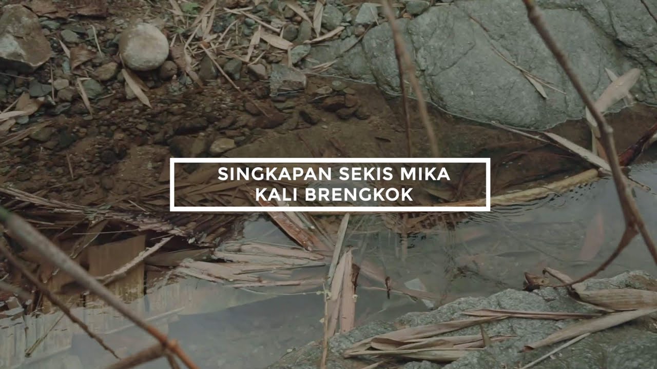 15  Singkapan Sekis Mika, Kali Brengkok