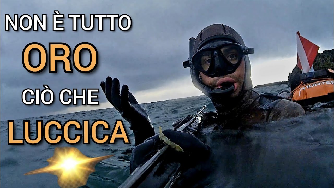 Pescasub: NON E' TUTTO ORO CIO' CHE LUCCICA - Spearfishing - AKASO