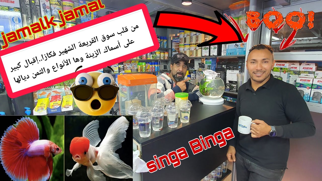 سوق القريعة بالدار البيضاء 🇲🇦🇲🇦 مع أستاد والمولوع رشيد واحسن معلومات علي أسماك الزينة وجمالك جمال 🦈🐳