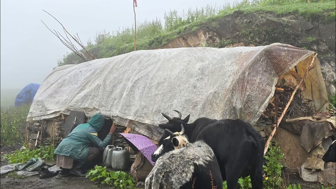 Most Peaceful Relaxing Himalayan Village Lifestyle | Organic shepherd Food | Real Nepali Life I