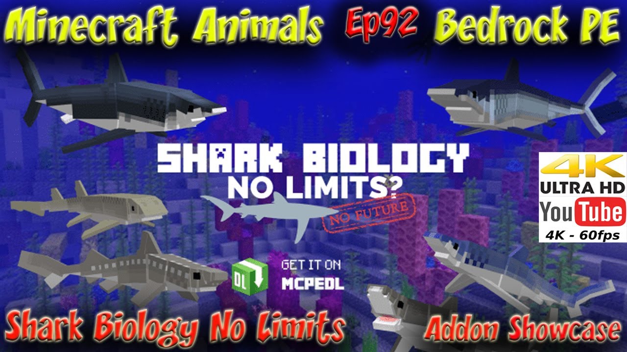 Shark Biology Addon No Limits Update Animal Showcase 4k 60fps Minecraft PE BE Sharks Animals Ep92