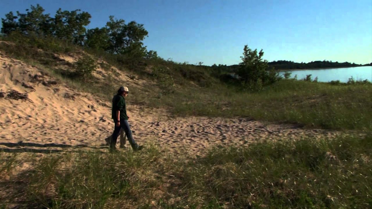 Wilderness State Park | Under the Radar | Pure Michigan