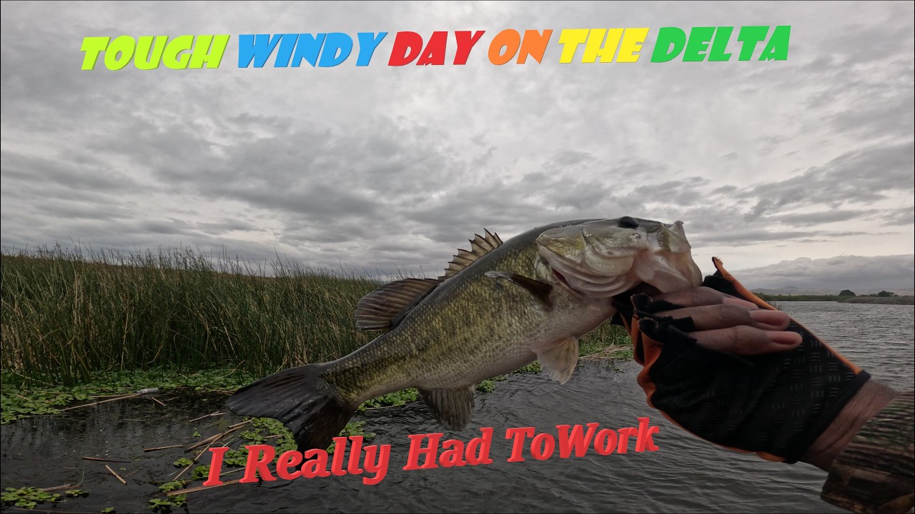 CA Delta Fishing - Tough Cold Front & Windy Day