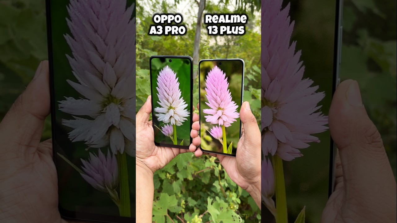 Oppo A3 Pro vs Realme 13 plus Camera test #oppoa3pro #realme13plus #comparison #shorts