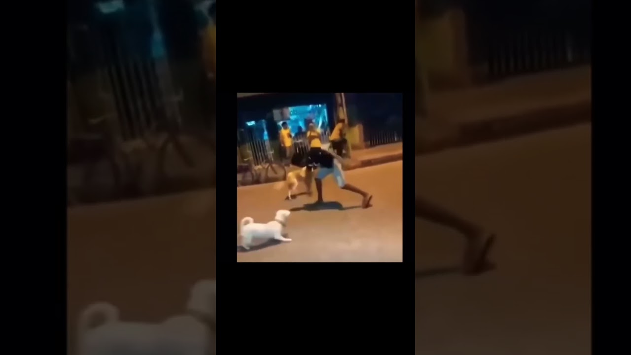 Top uno peleas m&aacute;s &eacute;picas del anime#memes