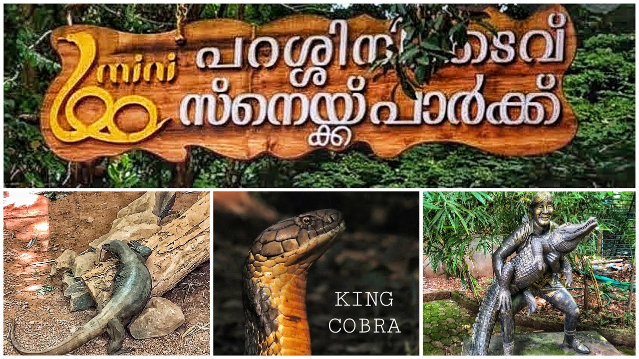 Parassinikadavu Snake Park Adventure 🐍 | Up Close With Kerala’s Deadliest Snakes!