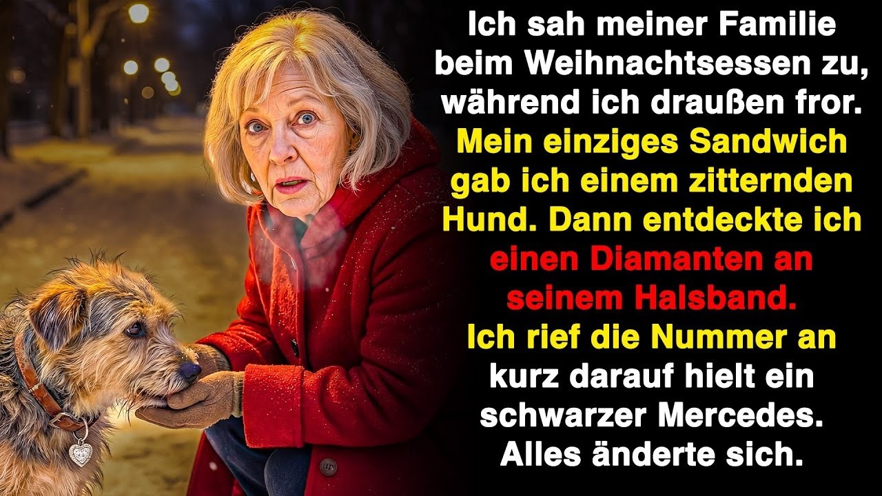 Meine Familie aß drinnen, ich saß draußen und fütterte einen Streuner. Sein Halsband hatte…