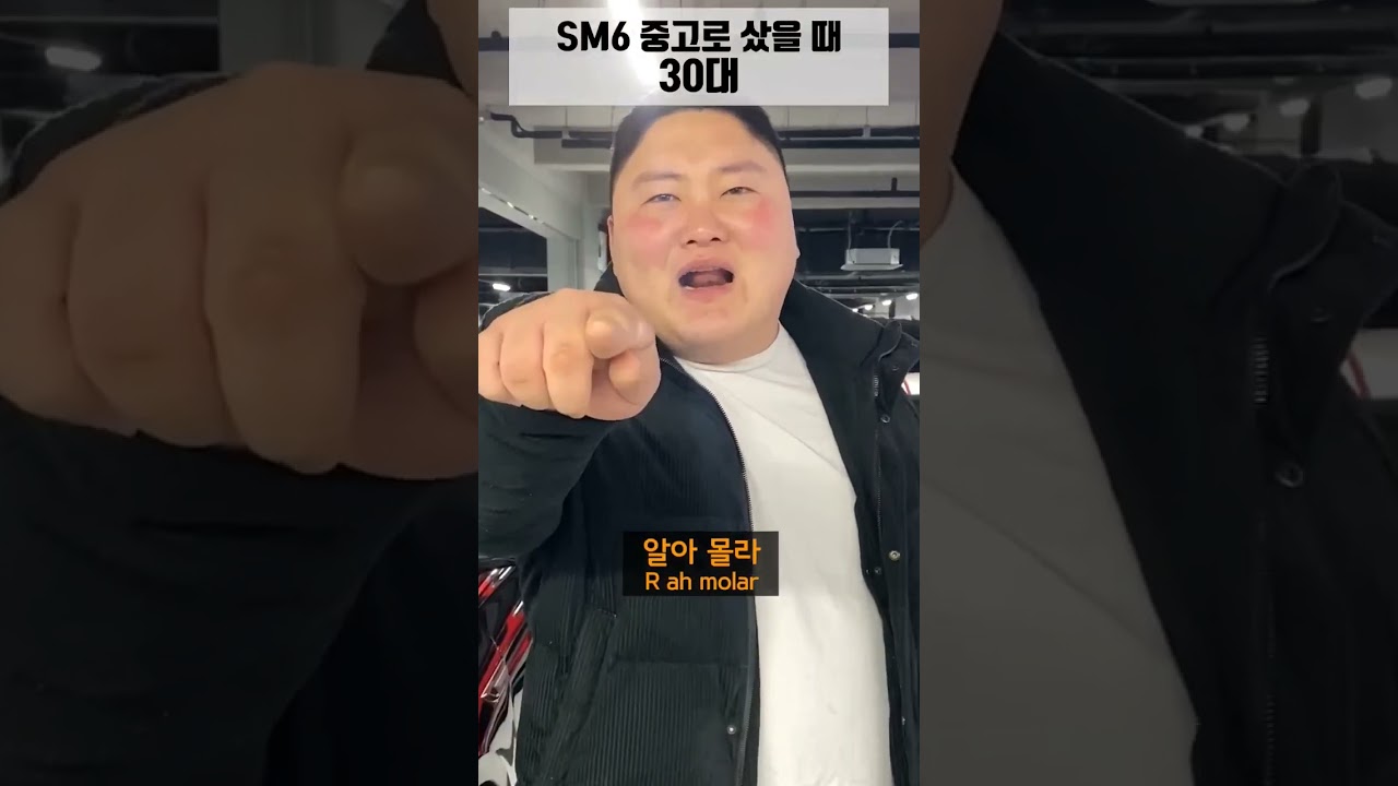 나이별 SM6 오너 특