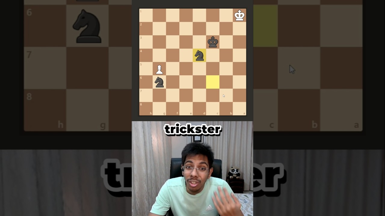 How to checkmate with 2 Knights