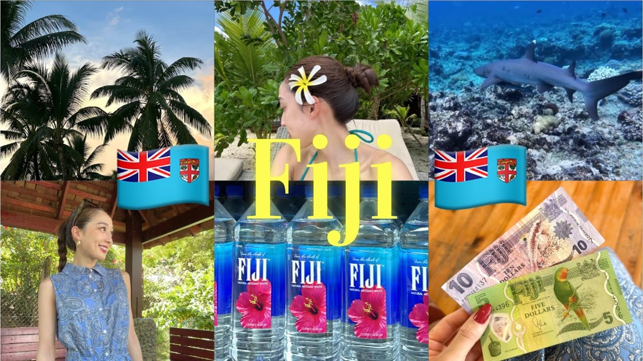 【🇫🇯弾丸フィジー1人旅🌺】~Fiji solo trip to swim with sharks🦈~