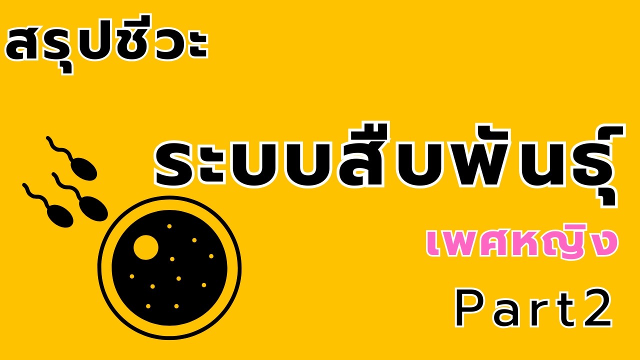 สรุปชีวะ ระบบสืบพันธ์ุ Part2 เพศหญิง