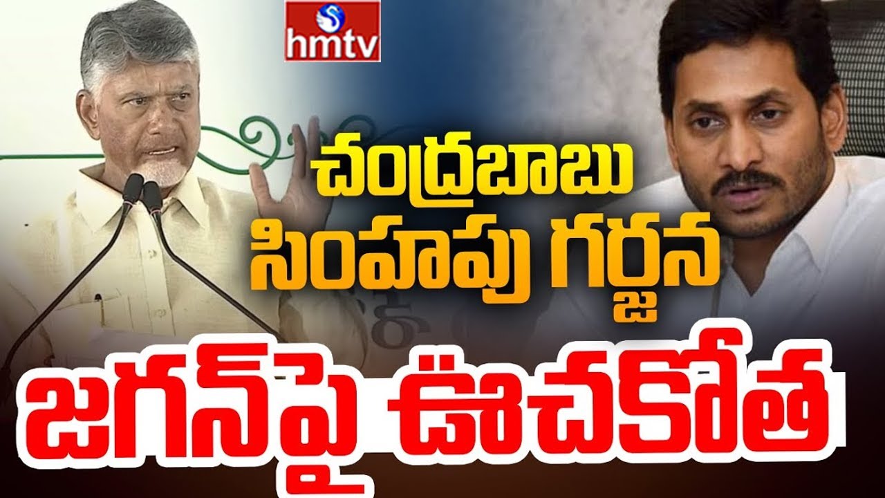 చంద్రబాబు సింహపు గర్జన..జగన్ పై ఊచకోత | CM Chandrababu Aggressive Comments On YS Jagan | hmtv